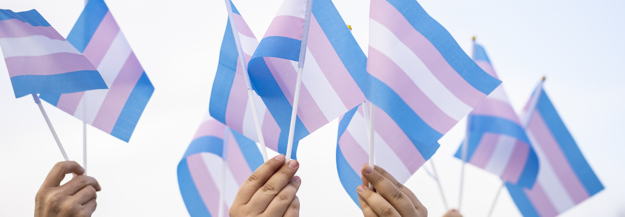 Mãos seguram bandeiras da visibilidade trans