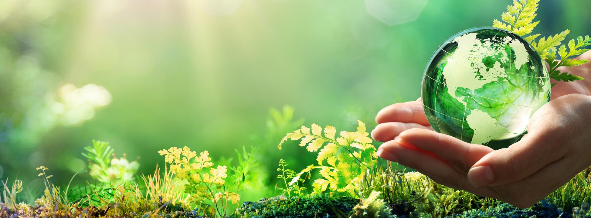 Foto de stock de Mãos segurando um globo de vidro verde floresta - conceito de meio ambiente